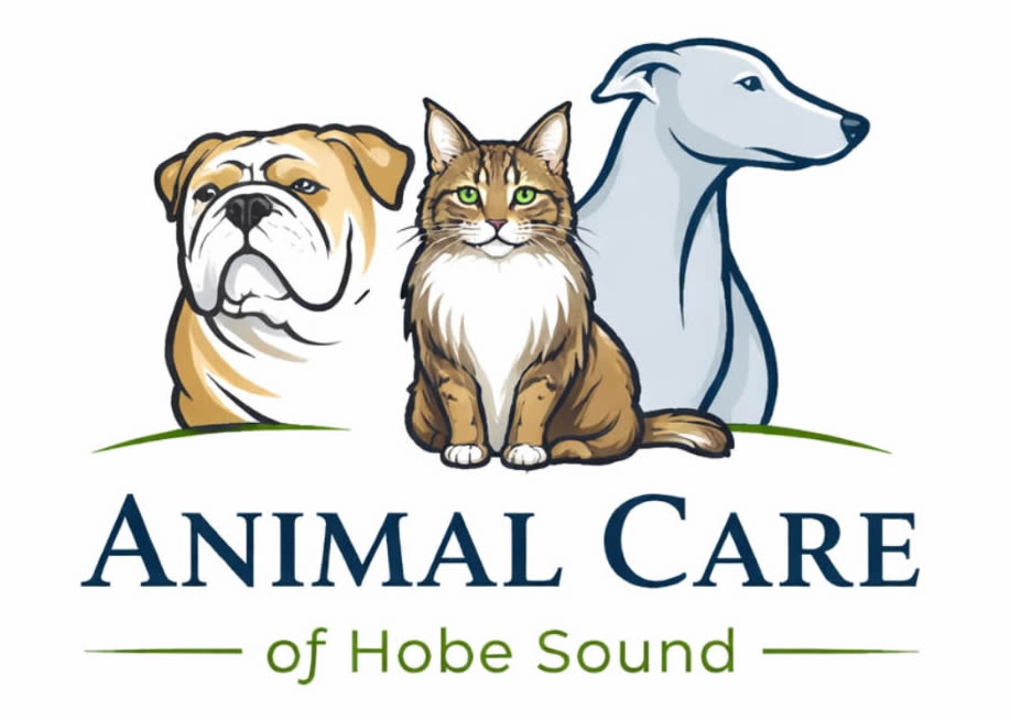 Animal Care of Hobe Sound
